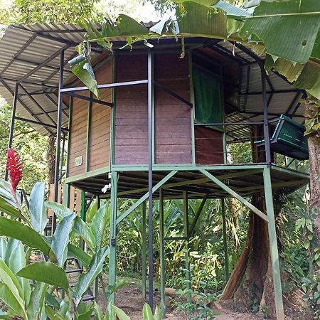 Finca Valeria Treehouses Glamping Cocles Exterior photo