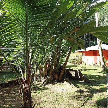 Finca Valeria Treehouses Glamping Cocles Exterior photo