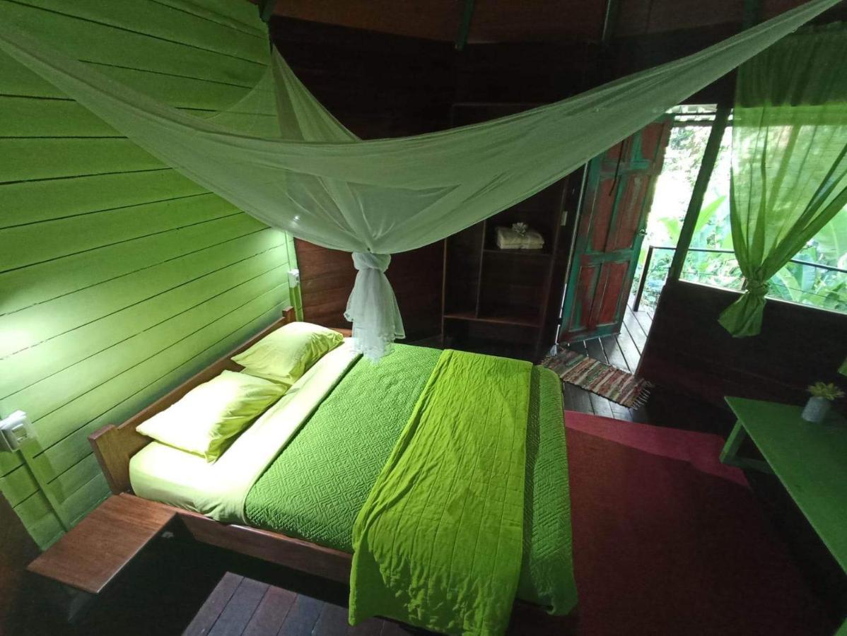 Finca Valeria Treehouses Glamping Cocles Exterior photo