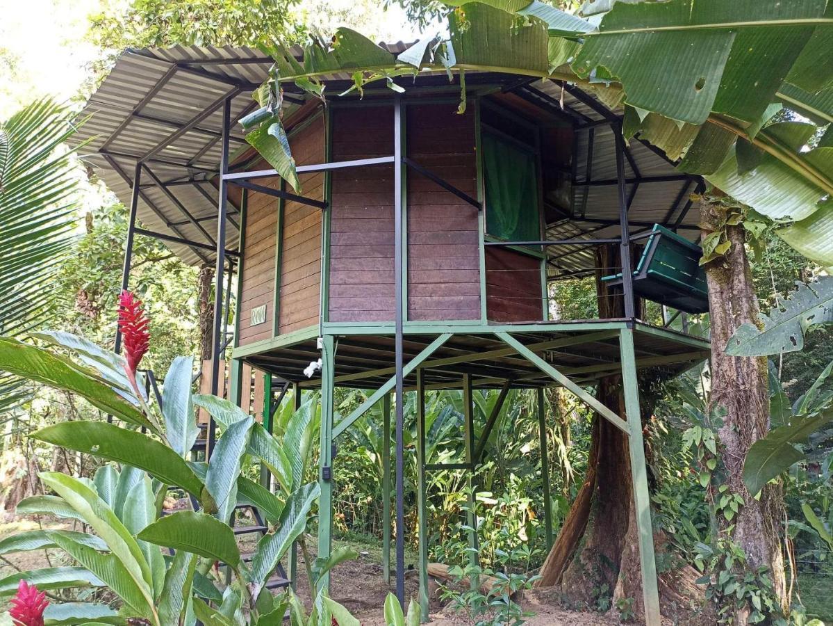 Finca Valeria Treehouses Glamping Cocles Exterior photo