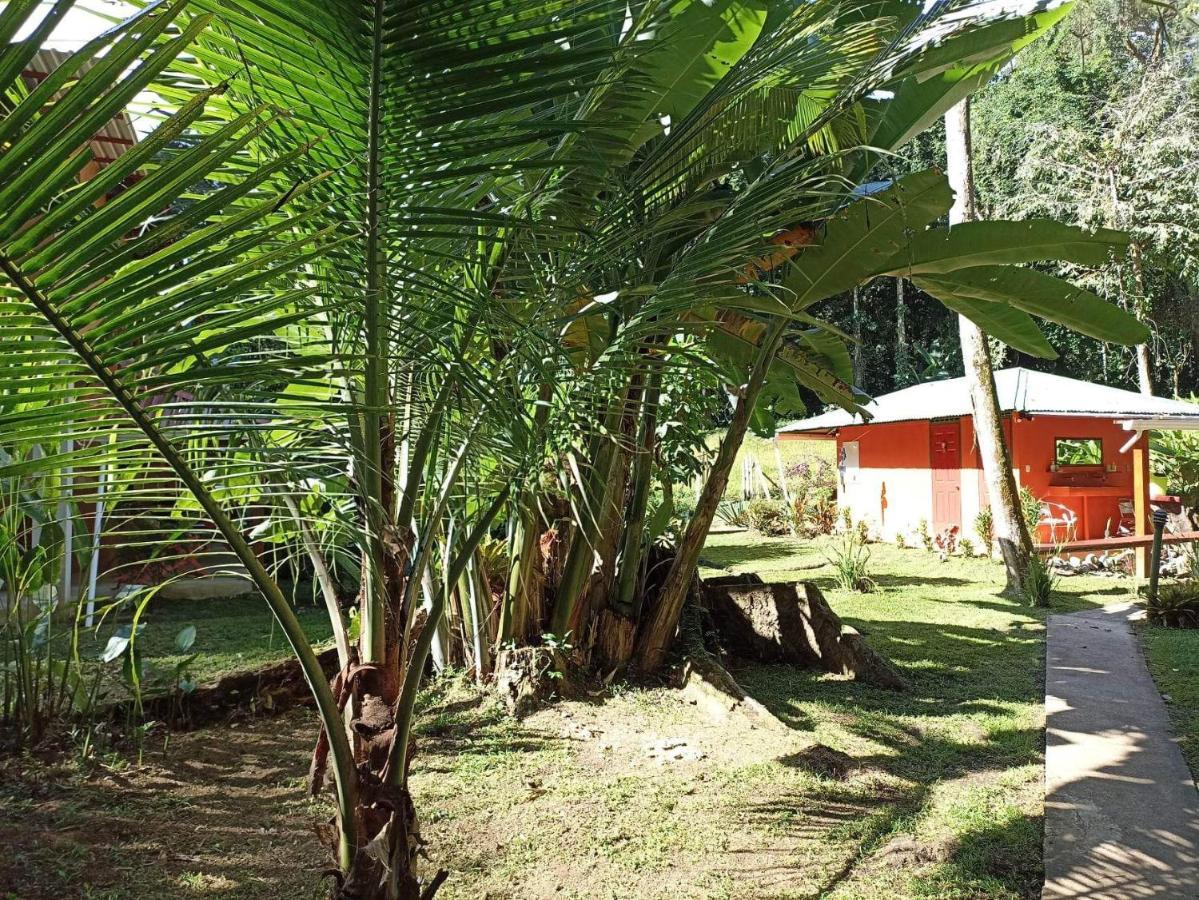 Finca Valeria Treehouses Glamping Cocles Exterior photo