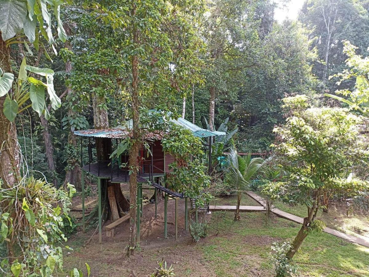 Finca Valeria Treehouses Glamping Cocles Exterior photo