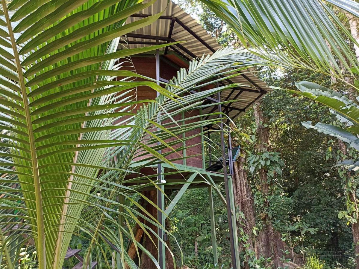 Finca Valeria Treehouses Glamping Cocles Exterior photo